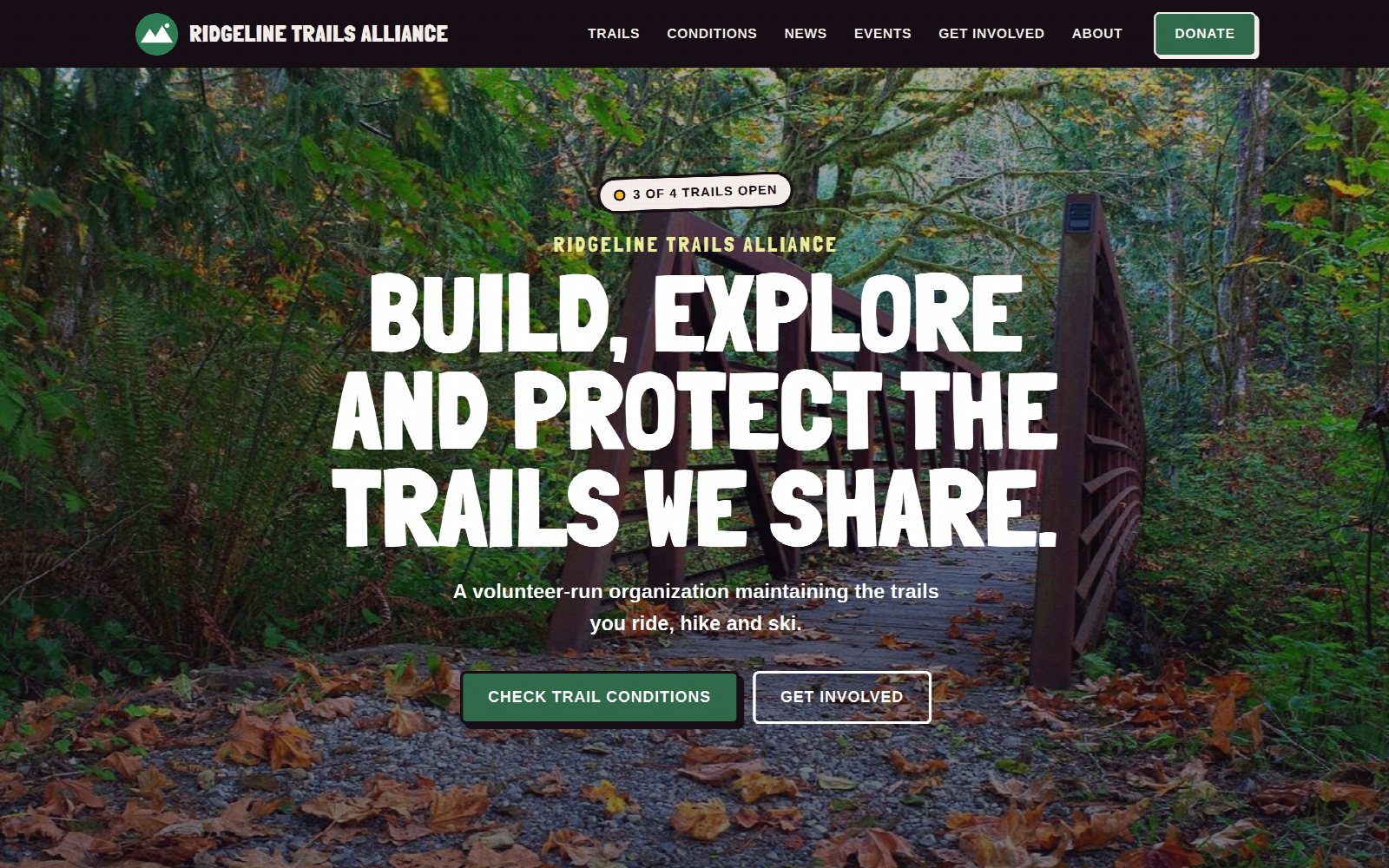 The demo website in the Backyard theme