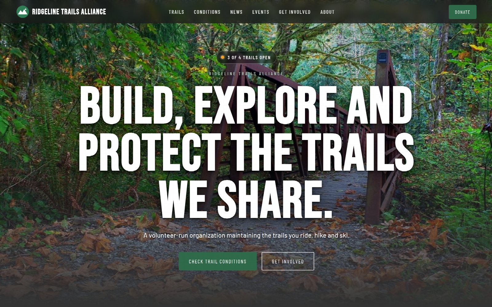 The demo website in the Classic theme